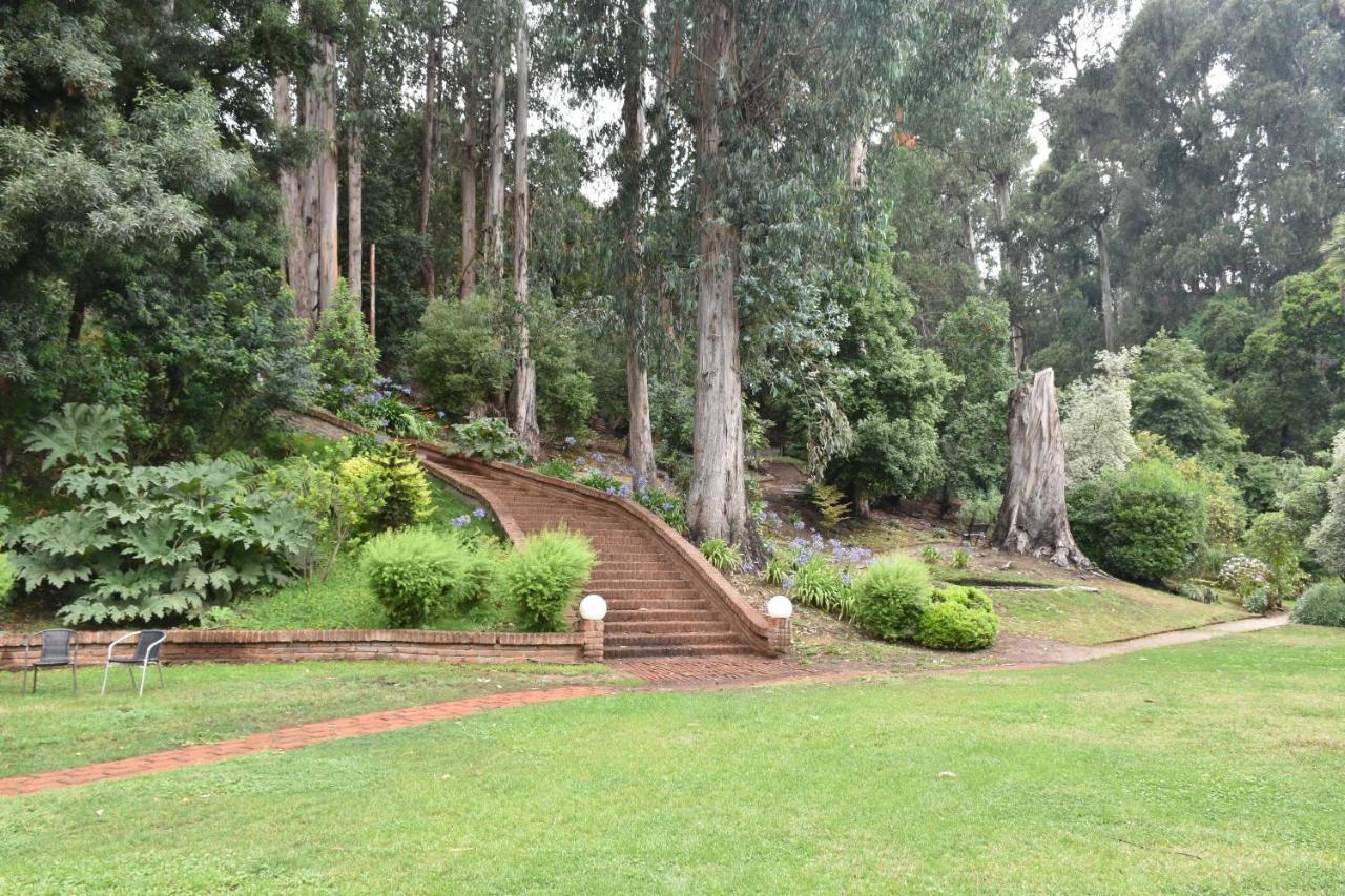 Hotel Bosque De Renaca Vina del Mar Exterior photo